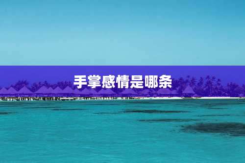 手掌感情是哪条