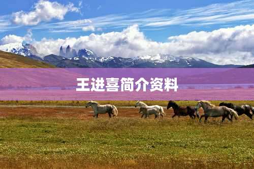 王进喜简介资料