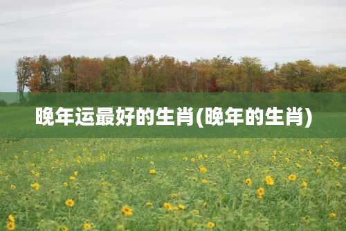 晚年运最好的生肖(晚年的生肖)