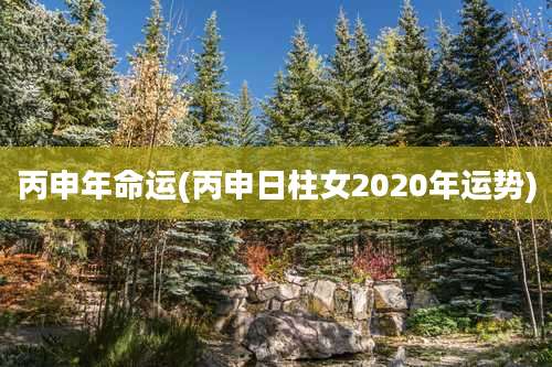 丙申年命运(丙申日柱女2020年运势)