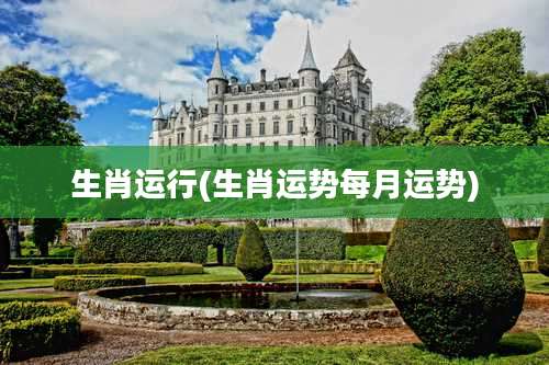 生肖运行(生肖运势每月运势)