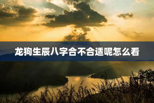 龙狗生辰八字合不合适呢怎么看
