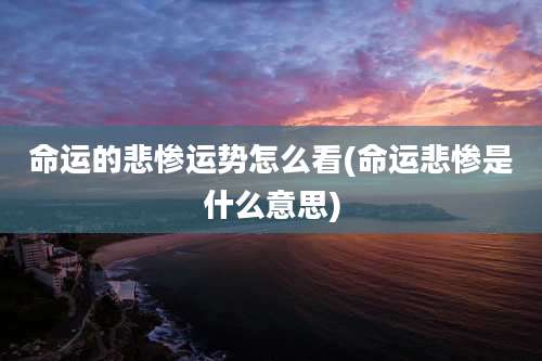 命运的悲惨运势怎么看(命运悲惨是什么意思)