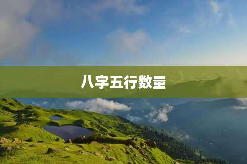 八字五行数量