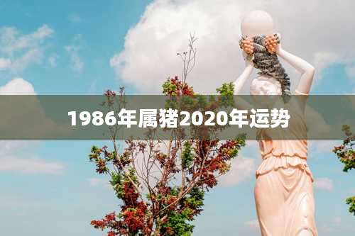 1986年属猪2020年运势