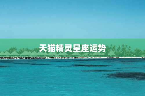 天猫精灵星座运势