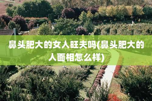 鼻头肥大的女人旺夫吗(鼻头肥大的人面相怎么样)