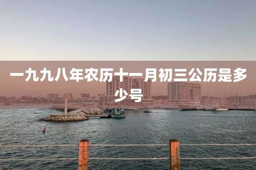 一九九八年农历十一月初三公历是多少号