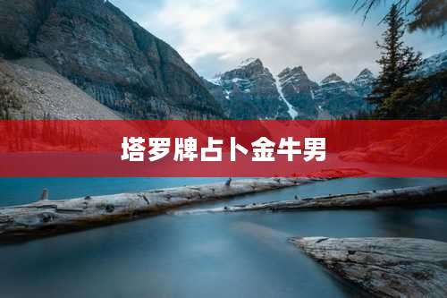 塔罗牌占卜金牛男