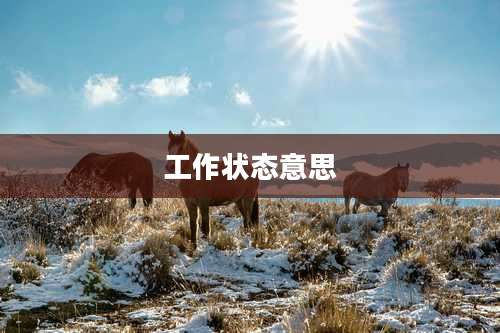 工作状态意思