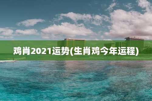 鸡肖2021运势(生肖鸡今年运程)