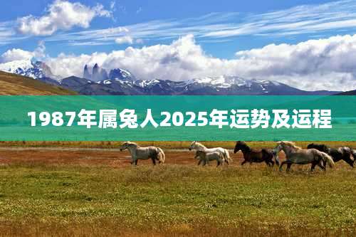 1987年属兔人2025年运势及运程
