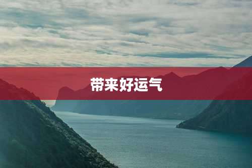 带来好运气