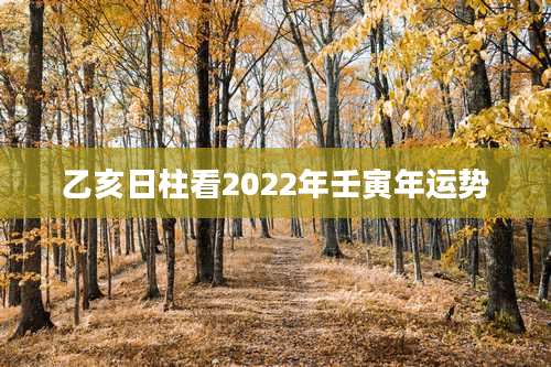 乙亥日柱看2022年壬寅年运势