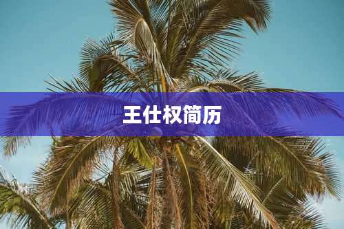 王仕权简历