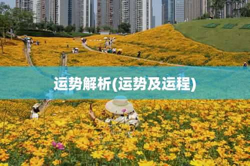 运势解析(运势及运程)