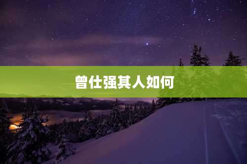 曾仕强其人如何