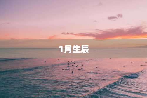 1月生辰