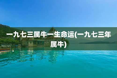 一九七三属牛一生命运(一九七三年属牛)