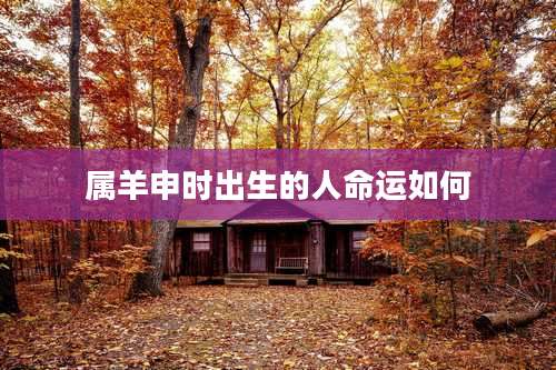 属羊申时出生的人命运如何