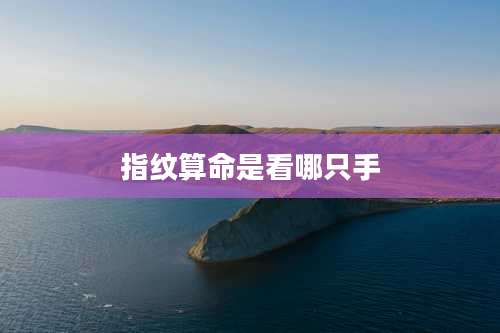 指纹算命是看哪只手