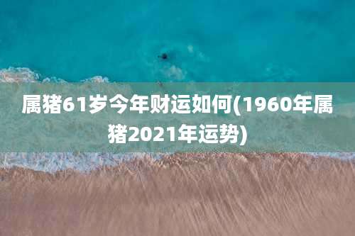 属猪61岁今年财运如何(1960年属猪2021年运势)