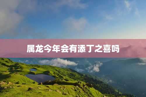 属龙今年会有添丁之喜吗