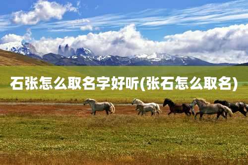 石张怎么取名字好听(张石怎么取名)