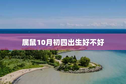 属鼠10月初四出生好不好