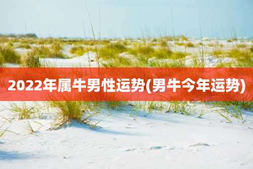 2022年属牛男性运势(男牛今年运势)