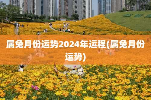 属兔月份运势2024年运程(属兔月份运势)