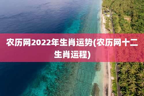 农历网2022年生肖运势(农历网十二生肖运程)