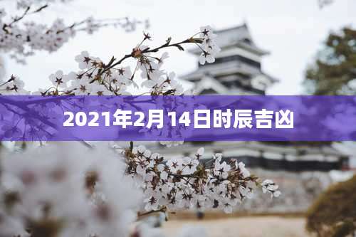 2021年2月14日时辰吉凶