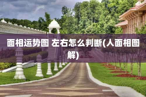 面相运势图 左右怎么判断(人面相图解)