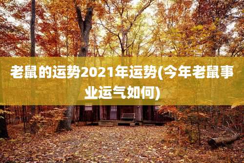 老鼠的运势2021年运势(今年老鼠事业运气如何)