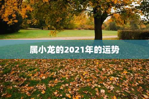 属小龙的2021年的运势