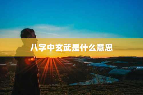 八字中玄武是什么意思