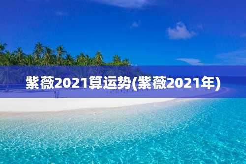 紫薇2021算运势(紫薇2021年)