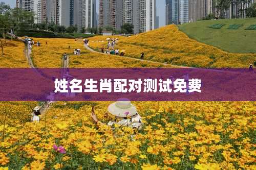 姓名生肖配对测试免费
