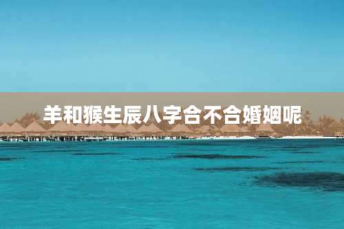 羊和猴生辰八字合不合婚姻呢