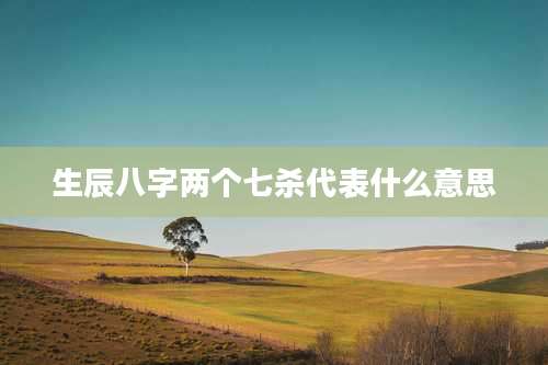 生辰八字两个七杀代表什么意思