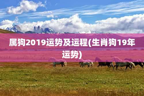 属狗2019运势及运程(生肖狗19年运势)