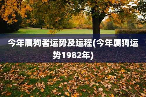 今年属狗者运势及运程(今年属狗运势1982年)