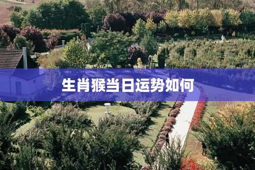 生肖猴当日运势如何