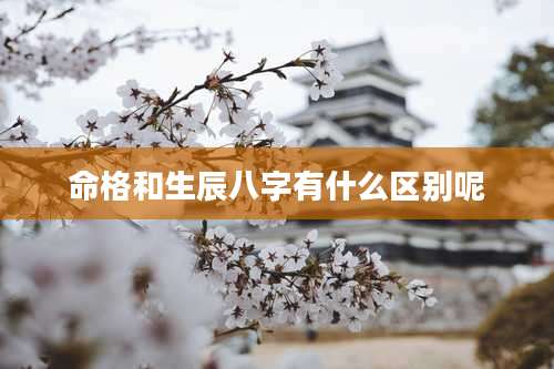 命格和生辰八字有什么区别呢