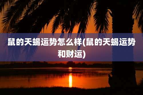 鼠的天蝎运势怎么样(鼠的天蝎运势和财运)