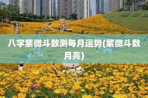 八字紫微斗数测每月运势(紫微斗数月亮)