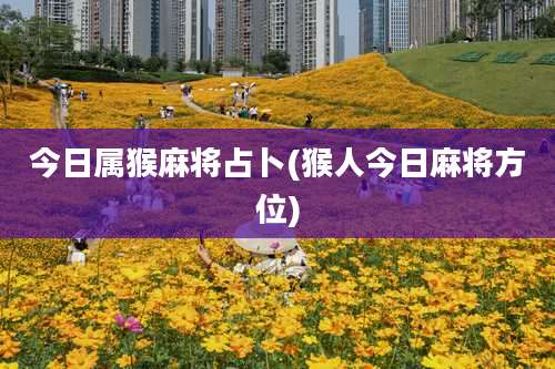 今日属猴麻将占卜(猴人今日麻将方位)