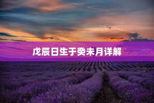 戊辰日生于癸未月详解