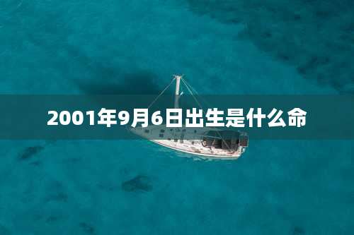 2001年9月6日出生是什么命